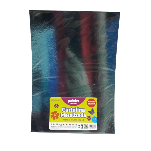 CARTULINA POINTER MCT-10-10